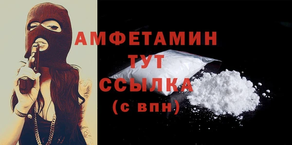 молекула духа Михайлов