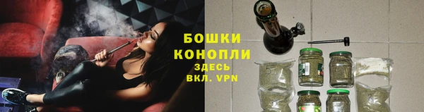 PSILOCYBIN Михайловка