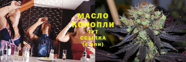 молекула духа Михайлов