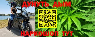 мяу мяу мука Абакан