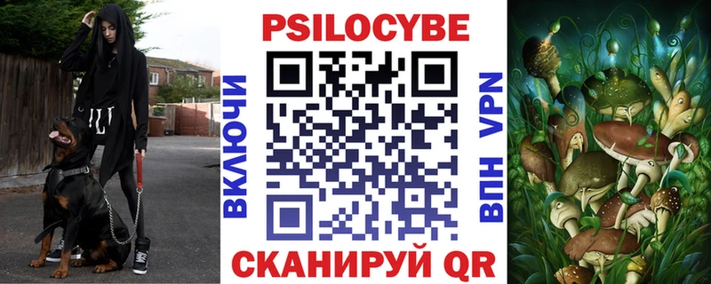 Галлюциногенные грибы Cubensis Волгоград
