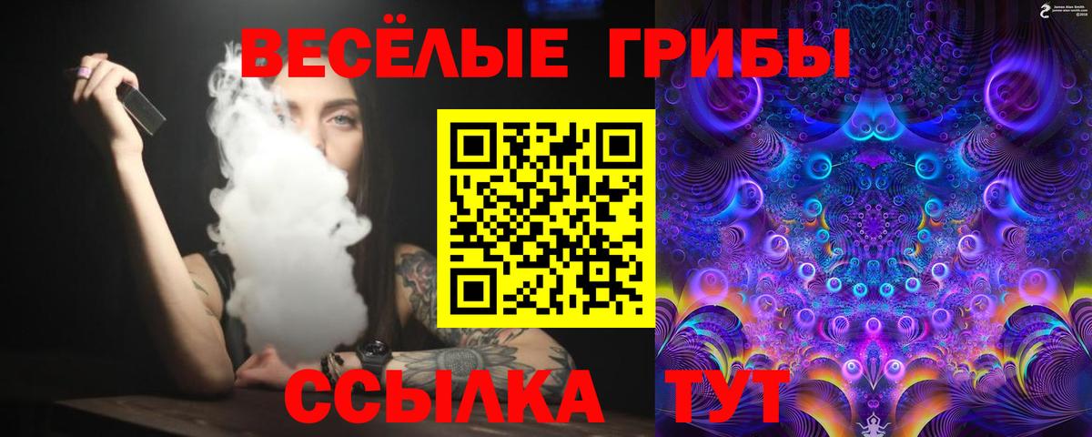 Галлюциногенные грибы Psilocybe  как найти закладки  Волгоград 